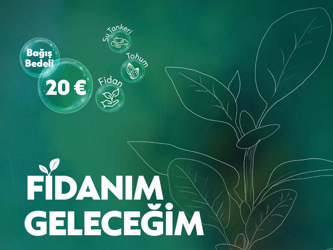 Fidan Projesi