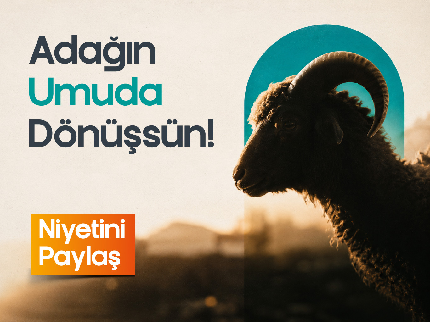 Adak Kurbanı
