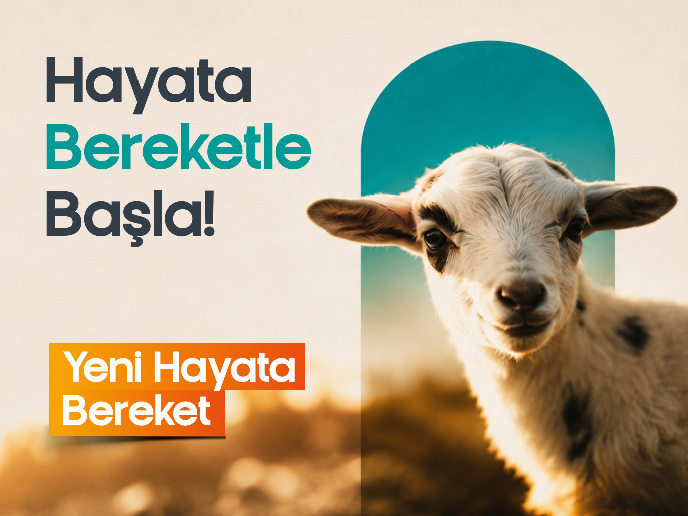 Akika Kurbanı
